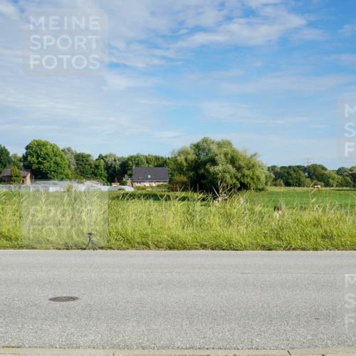 31.08.2025 - Elbe Triathlon Hamburg Michael Burmester http://msf.ph/oto/8691107 31.08.2025 09:54:19 Radfahren 415, 434, 471, 698, 725 meine-sportfotos.de