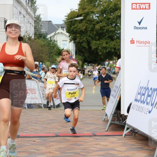 31.08.2025 - 21. Blankeneser Heldenlauf Strokosch-Dieckow http://msf.ph/oto/8693857 31.08.2025 10:27:26 Ziel 2715, 2463, 2559, 2725, 2533, 2709 meine-sportfotos.de