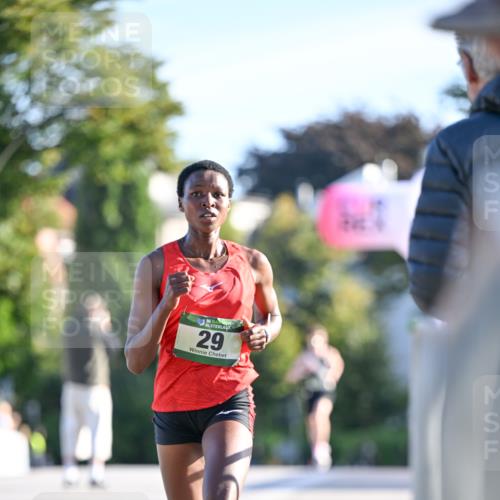 07.09.2025 - BARMER Alsterlauf Dr. Thomas Lammeyer http://msf.ph/oto/8705163 07.09.2025 09:19:14 Laufen 29 meine-sportfotos.de