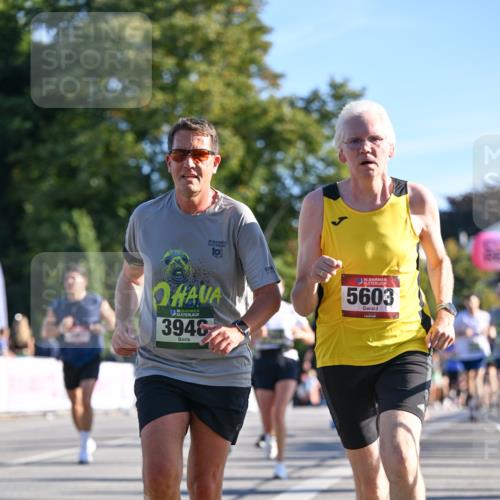 07.09.2025 - BARMER Alsterlauf Dr. Thomas Lammeyer http://msf.ph/oto/8709130 07.09.2025 09:32:47 Laufen 10, 136, 3946, 36, 5603 meine-sportfotos.de