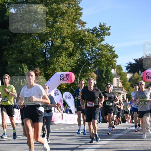 07.09.2025 - BARMER Alsterlauf Dr. Thomas Lammeyer http://msf.ph/oto/8709139 07.09.2025 09:32:49 Laufen 2365, 95, 8, 2896, 3589, 374, 4257, 7, 554 meine-sportfotos.de