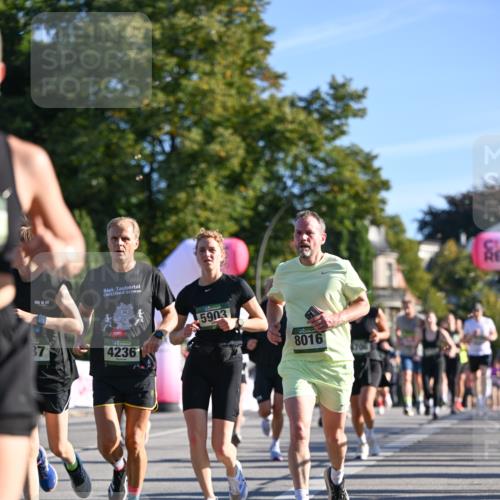 07.09.2025 - BARMER Alsterlauf Dr. Thomas Lammeyer http://msf.ph/oto/8709627 07.09.2025 09:34:13 Laufen 36512247, 2, 100, 37, 4236, 5903, 8016 meine-sportfotos.de