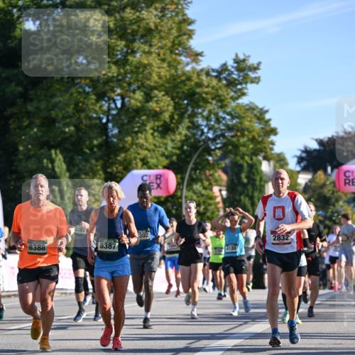07.09.2025 - BARMER Alsterlauf Dr. Thomas Lammeyer http://msf.ph/oto/8710509 07.09.2025 09:36:45 Laufen 8388, 3381, 8387, 302, 2832 meine-sportfotos.de