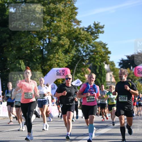 07.09.2025 - BARMER Alsterlauf Dr. Thomas Lammeyer http://msf.ph/oto/8710585 07.09.2025 09:36:58 Laufen 4242, 4227, 4038, 4559, 4558, 1621 meine-sportfotos.de