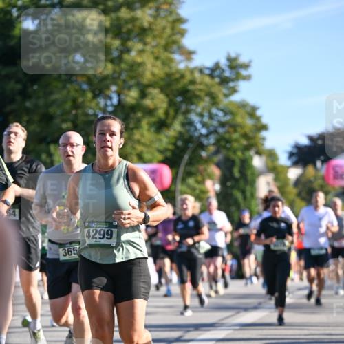 07.09.2025 - BARMER Alsterlauf Dr. Thomas Lammeyer http://msf.ph/oto/8710724 07.09.2025 09:37:21 Laufen 64, 365, 36, 4299 meine-sportfotos.de
