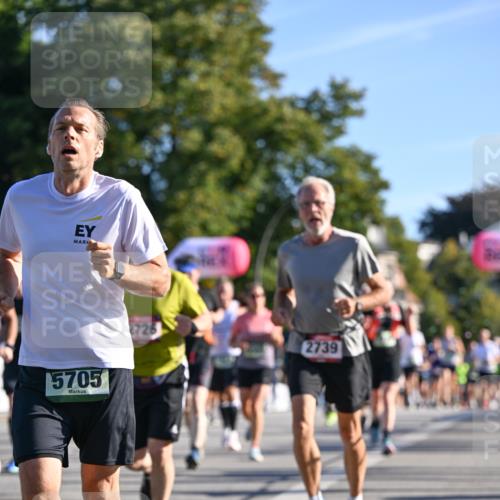 07.09.2025 - BARMER Alsterlauf Dr. Thomas Lammeyer http://msf.ph/oto/8710759 07.09.2025 09:37:26 Laufen 5705, 2726, 2739 meine-sportfotos.de