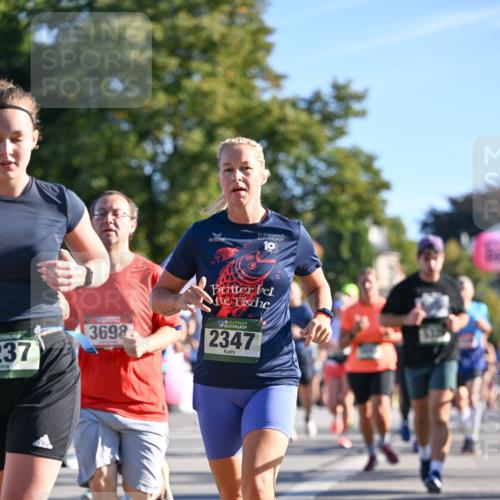 07.09.2025 - BARMER Alsterlauf Dr. Thomas Lammeyer http://msf.ph/oto/8711266 07.09.2025 09:38:50 Laufen 31, 10, 237, 3698, 36, 2347 meine-sportfotos.de