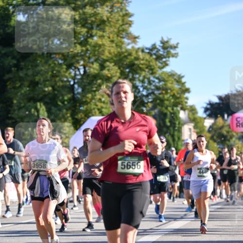 07.09.2025 - BARMER Alsterlauf Dr. Thomas Lammeyer http://msf.ph/oto/8711464 07.09.2025 09:39:22 Laufen 3958, 5656, 4440 meine-sportfotos.de