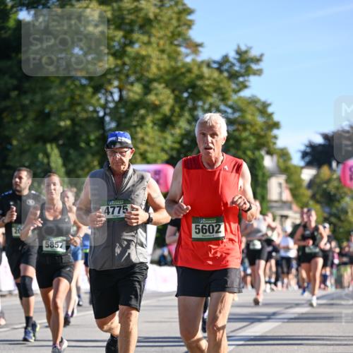 07.09.2025 - BARMER Alsterlauf Dr. Thomas Lammeyer http://msf.ph/oto/8712049 07.09.2025 09:41:00 Laufen 5857, 4775, 5602 meine-sportfotos.de