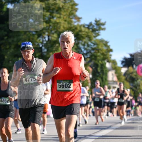 07.09.2025 - BARMER Alsterlauf Dr. Thomas Lammeyer http://msf.ph/oto/8712053 07.09.2025 09:41:01 Laufen 5857, 4775, 6, 5602 meine-sportfotos.de