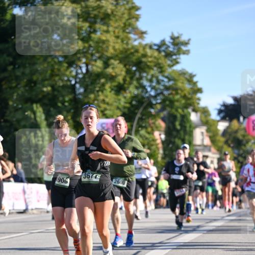 07.09.2025 - BARMER Alsterlauf Dr. Thomas Lammeyer http://msf.ph/oto/8712081 07.09.2025 09:41:06 Laufen 3677, 2600, 906 meine-sportfotos.de