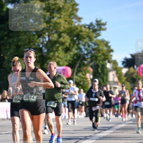 07.09.2025 - BARMER Alsterlauf Dr. Thomas Lammeyer http://msf.ph/oto/8712086 07.09.2025 09:41:06 Laufen 906, 3677, 2680 meine-sportfotos.de