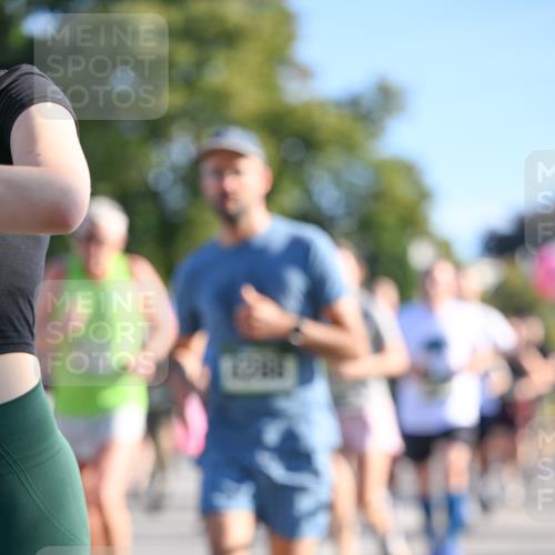 07.09.2025 - BARMER Alsterlauf Dr. Thomas Lammeyer http://msf.ph/oto/8712401 07.09.2025 09:42:00 Laufen  meine-sportfotos.de