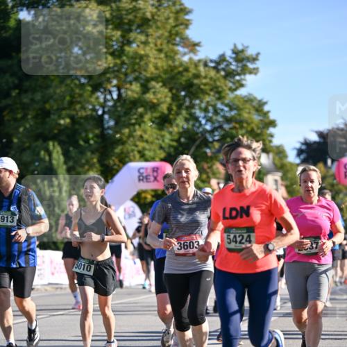 07.09.2025 - BARMER Alsterlauf Dr. Thomas Lammeyer http://msf.ph/oto/8712736 07.09.2025 09:42:55 Laufen 913, 5010, 3603, 5424 meine-sportfotos.de