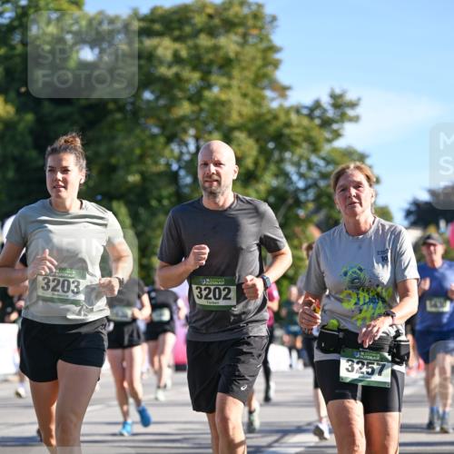 07.09.2025 - BARMER Alsterlauf Dr. Thomas Lammeyer http://msf.ph/oto/8713479 07.09.2025 09:45:04 Laufen 06, 3203, 3202, 36, 3257 meine-sportfotos.de