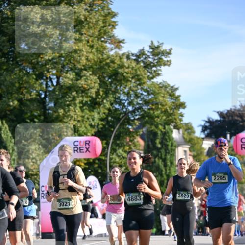 07.09.2025 - BARMER Alsterlauf Dr. Thomas Lammeyer http://msf.ph/oto/8714824 07.09.2025 09:48:59 Laufen 718, 37, 3021, 4883, 3929, 34, 2295 meine-sportfotos.de