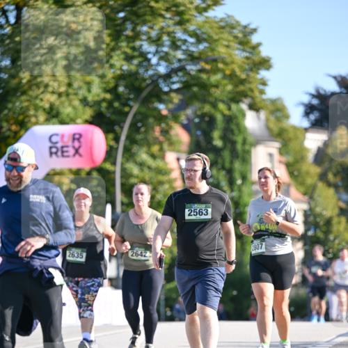 07.09.2025 - BARMER Alsterlauf Dr. Thomas Lammeyer http://msf.ph/oto/8716908 07.09.2025 09:56:41 Laufen 2635, 2642, 2563, 2807 meine-sportfotos.de