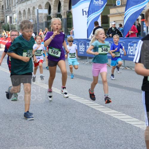 07.09.2025 - BARMER Alsterlauf Strokosch-Dieckow http://msf.ph/oto/8727318 07.09.2025 10:51:58 Ziel  meine-sportfotos.de