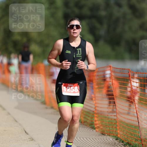 07.09.2025 - 19. Norderstedt Triathlon Michael Strokosch http://msf.ph/oto/8735550 07.09.2025 12:21:06 Laufen 168, 1258 meine-sportfotos.de