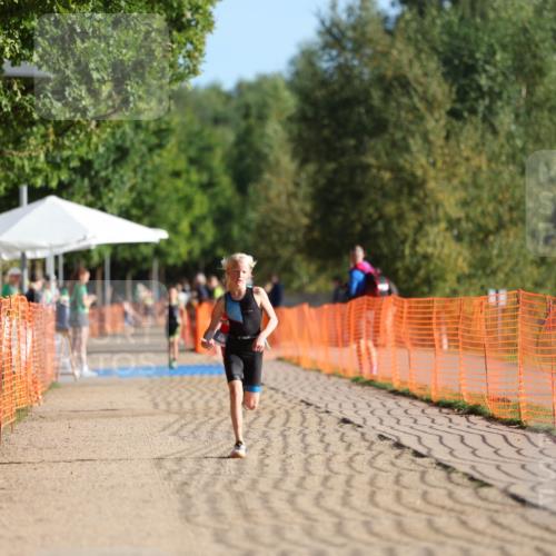 07.09.2025 - 19. Norderstedt Triathlon Michael Strokosch http://msf.ph/oto/8737402 07.09.2025 09:11:41 Laufen 1, 50, 53 meine-sportfotos.de