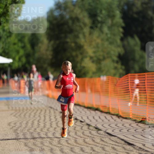 07.09.2025 - 19. Norderstedt Triathlon Michael Strokosch http://msf.ph/oto/8737576 07.09.2025 09:11:47 Laufen 46, 50 meine-sportfotos.de