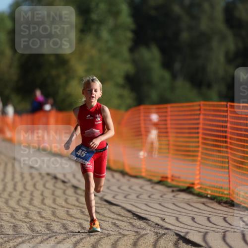 07.09.2025 - 19. Norderstedt Triathlon Michael Strokosch http://msf.ph/oto/8737617 07.09.2025 09:11:48 Laufen 46, 50 meine-sportfotos.de