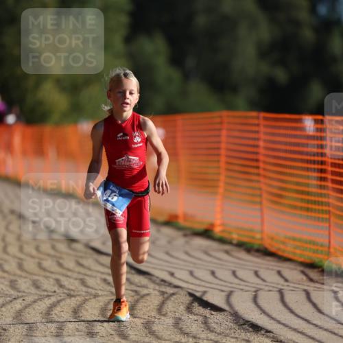 07.09.2025 - 19. Norderstedt Triathlon Michael Strokosch http://msf.ph/oto/8737643 07.09.2025 09:11:49 Laufen 46, 50 meine-sportfotos.de