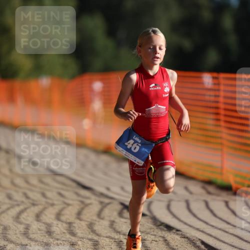 07.09.2025 - 19. Norderstedt Triathlon Michael Strokosch http://msf.ph/oto/8737672 07.09.2025 09:11:50 Laufen 46, 50 meine-sportfotos.de