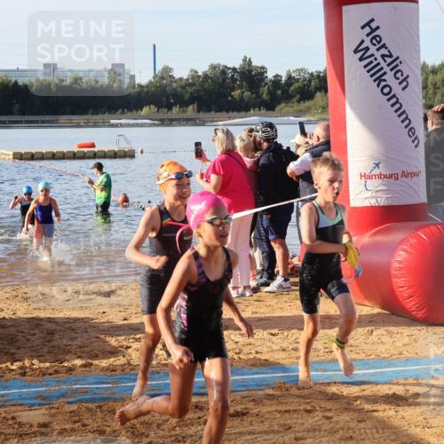 07.09.2025 - 19. Norderstedt Triathlon Luisa Fischer http://msf.ph/oto/8738338 07.09.2025 09:02:58 Schwimmen 11, 15, 16, 17, 23, 31, 41, 45, 51, 55 meine-sportfotos.de