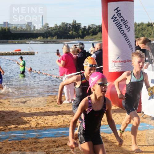 07.09.2025 - 19. Norderstedt Triathlon Luisa Fischer http://msf.ph/oto/8738344 07.09.2025 09:02:58 Schwimmen 11, 15, 16, 17, 23, 31, 41, 45, 51, 55 meine-sportfotos.de