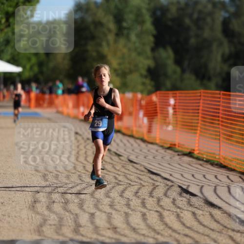 07.09.2025 - 19. Norderstedt Triathlon Michael Strokosch http://msf.ph/oto/8739343 07.09.2025 09:13:31 Laufen 14, 29, 45, 55 meine-sportfotos.de