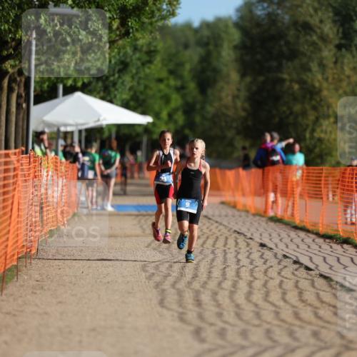 07.09.2025 - 19. Norderstedt Triathlon Michael Strokosch http://msf.ph/oto/8739475 07.09.2025 09:13:38 Laufen 29 meine-sportfotos.de