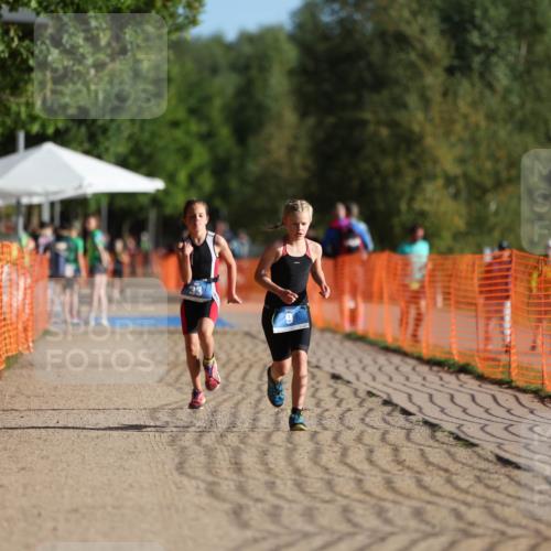 07.09.2025 - 19. Norderstedt Triathlon Michael Strokosch http://msf.ph/oto/8739542 07.09.2025 09:13:40 Laufen 9, 33 meine-sportfotos.de