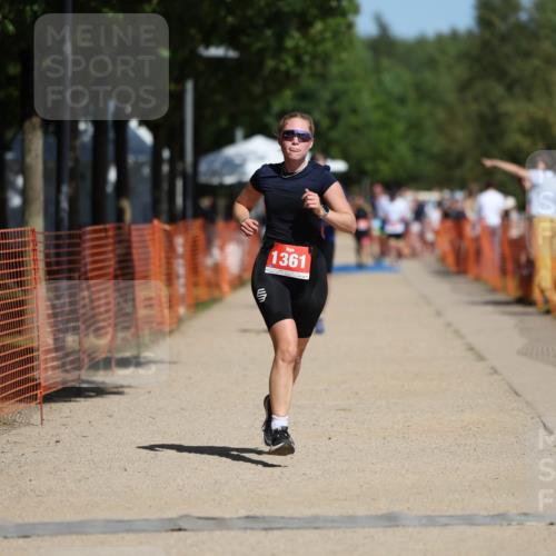 07.09.2025 - 19. Norderstedt Triathlon Michael Strokosch http://msf.ph/oto/8741109 07.09.2025 12:31:23 Laufen 215, 237, 1231, 1361 meine-sportfotos.de
