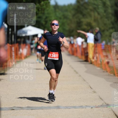 07.09.2025 - 19. Norderstedt Triathlon Michael Strokosch http://msf.ph/oto/8741140 07.09.2025 12:31:23 Laufen 215, 237, 1231, 1361 meine-sportfotos.de