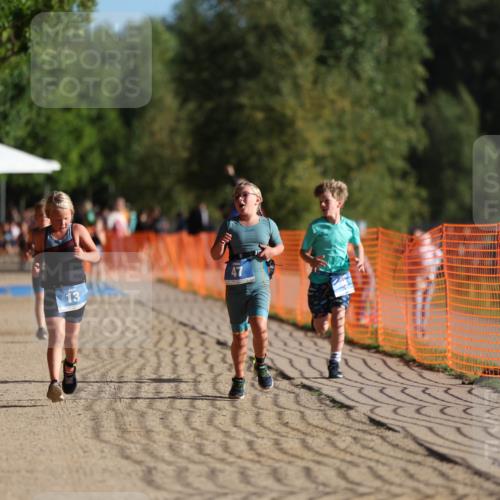 07.09.2025 - 19. Norderstedt Triathlon Michael Strokosch http://msf.ph/oto/8742670 07.09.2025 09:16:32 Laufen 8, 13, 47 meine-sportfotos.de