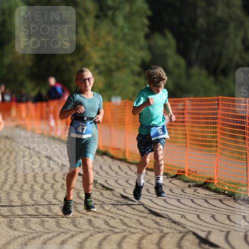 07.09.2025 - 19. Norderstedt Triathlon Michael Strokosch http://msf.ph/oto/8742751 07.09.2025 09:16:35 Laufen 8, 13, 47, 48 meine-sportfotos.de