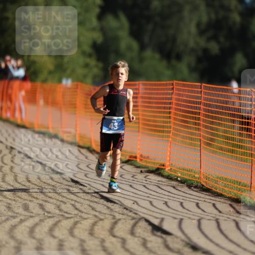 07.09.2025 - 19. Norderstedt Triathlon Michael Strokosch http://msf.ph/oto/8742992 07.09.2025 09:16:53 Laufen 43 meine-sportfotos.de