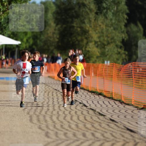 07.09.2025 - 19. Norderstedt Triathlon Michael Strokosch http://msf.ph/oto/8743189 07.09.2025 09:17:02 Laufen 10, 24, 31, 32, 43 meine-sportfotos.de