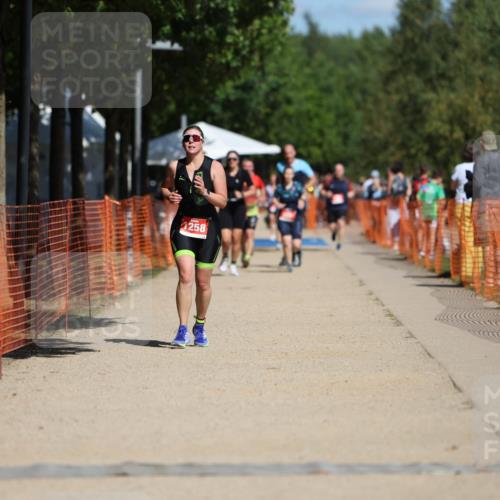 07.09.2025 - 19. Norderstedt Triathlon Michael Strokosch http://msf.ph/oto/8745722 07.09.2025 12:36:00 Laufen 1242, 1258 meine-sportfotos.de