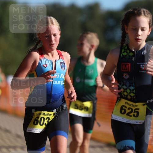 07.09.2025 - 19. Norderstedt Triathlon Michael Strokosch http://msf.ph/oto/8746594 07.09.2025 09:44:40 Laufen 559, 601, 603, 607, 618, 623, 625 meine-sportfotos.de