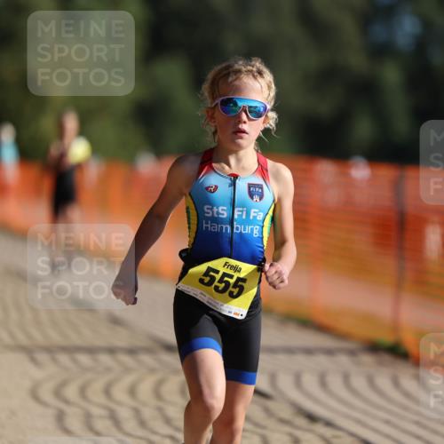 07.09.2025 - 19. Norderstedt Triathlon Michael Strokosch http://msf.ph/oto/8748076 07.09.2025 09:46:18 Laufen 555, 584, 597 meine-sportfotos.de