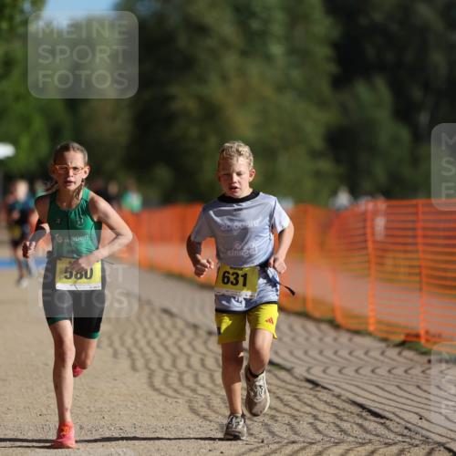 07.09.2025 - 19. Norderstedt Triathlon Michael Strokosch http://msf.ph/oto/8749122 07.09.2025 09:48:17 Laufen 579, 580, 631 meine-sportfotos.de