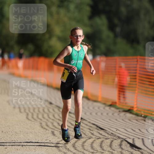 07.09.2025 - 19. Norderstedt Triathlon Michael Strokosch http://msf.ph/oto/8749466 07.09.2025 09:49:05 Laufen 560, 581 meine-sportfotos.de