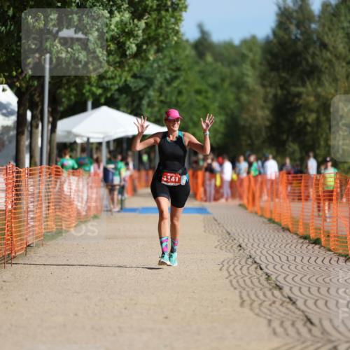 07.09.2025 - 19. Norderstedt Triathlon Michael Strokosch http://msf.ph/oto/8751606 07.09.2025 10:34:33 Laufen 1141 meine-sportfotos.de