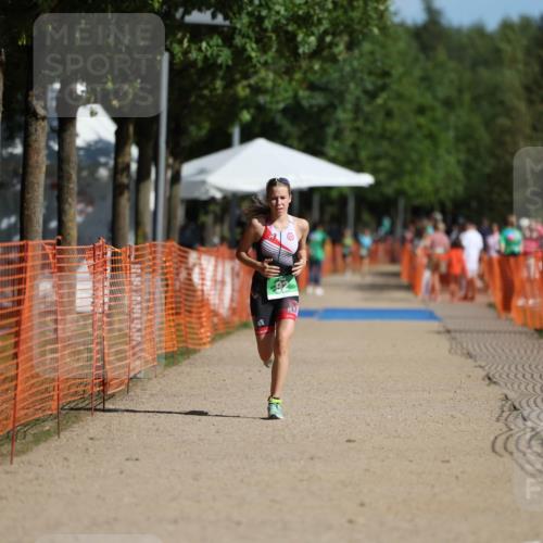 07.09.2025 - 19. Norderstedt Triathlon Michael Strokosch http://msf.ph/oto/8758158 07.09.2025 11:03:53 Laufen 71, 92 meine-sportfotos.de