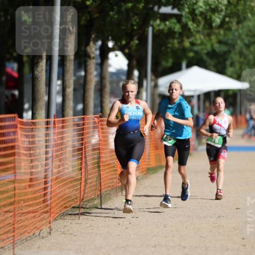 07.09.2025 - 19. Norderstedt Triathlon Michael Strokosch http://msf.ph/oto/8759290 07.09.2025 11:06:27 Laufen 67, 75, 133 meine-sportfotos.de