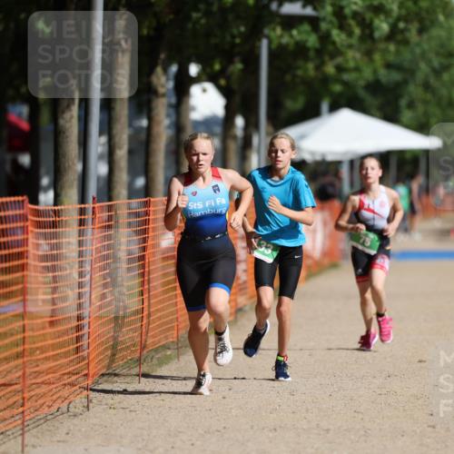 07.09.2025 - 19. Norderstedt Triathlon Michael Strokosch http://msf.ph/oto/8759317 07.09.2025 11:06:28 Laufen 67, 75, 133 meine-sportfotos.de