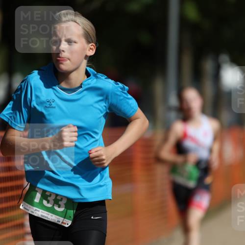 07.09.2025 - 19. Norderstedt Triathlon Michael Strokosch http://msf.ph/oto/8759437 07.09.2025 11:06:32 Laufen 67, 75, 133 meine-sportfotos.de