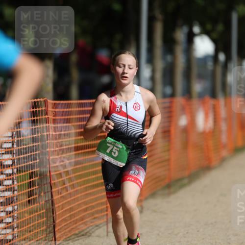 07.09.2025 - 19. Norderstedt Triathlon Michael Strokosch http://msf.ph/oto/8759455 07.09.2025 11:06:33 Laufen 67, 75, 133 meine-sportfotos.de